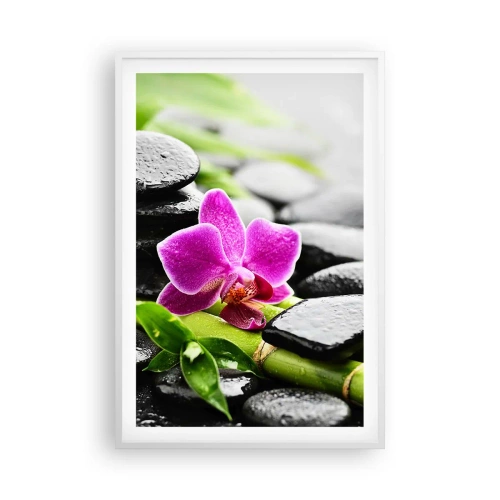 Poster in een witte lijst - In een vrede evenwicht - 61x91 cm