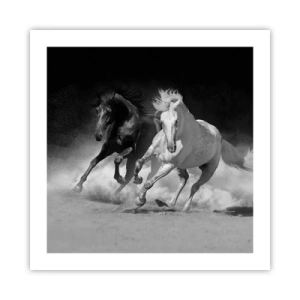 Poster - Vrijheidsgalop - 50x50 cm
