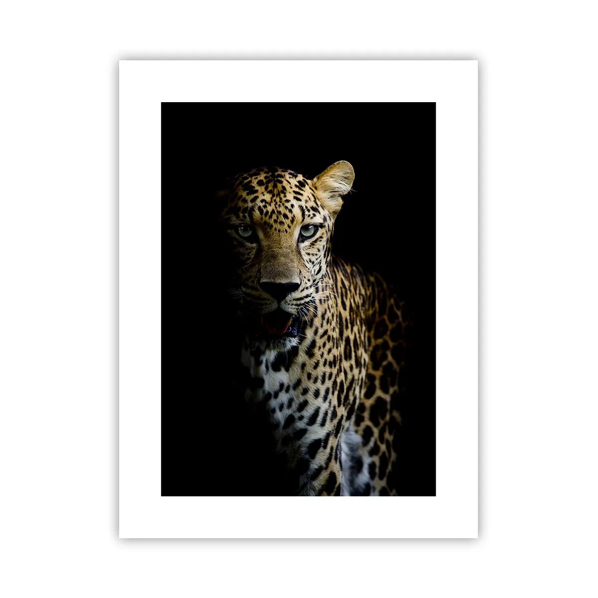 Poster - Donkere schoonheid - 30x40 cm