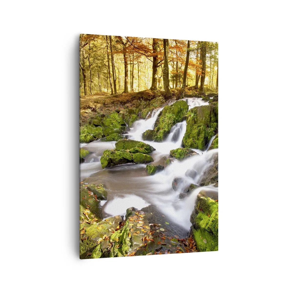 Schilderen op canvas - Snel door het herfstbos - 70x100 cm