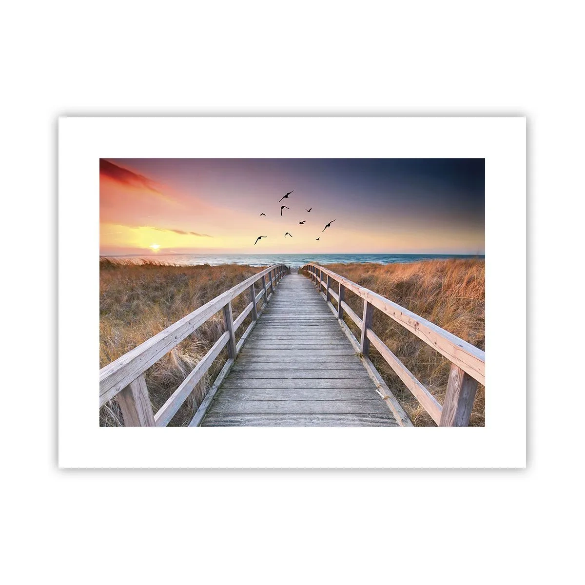 Poster - De ruimte voor opvliegen - 40x30 cm