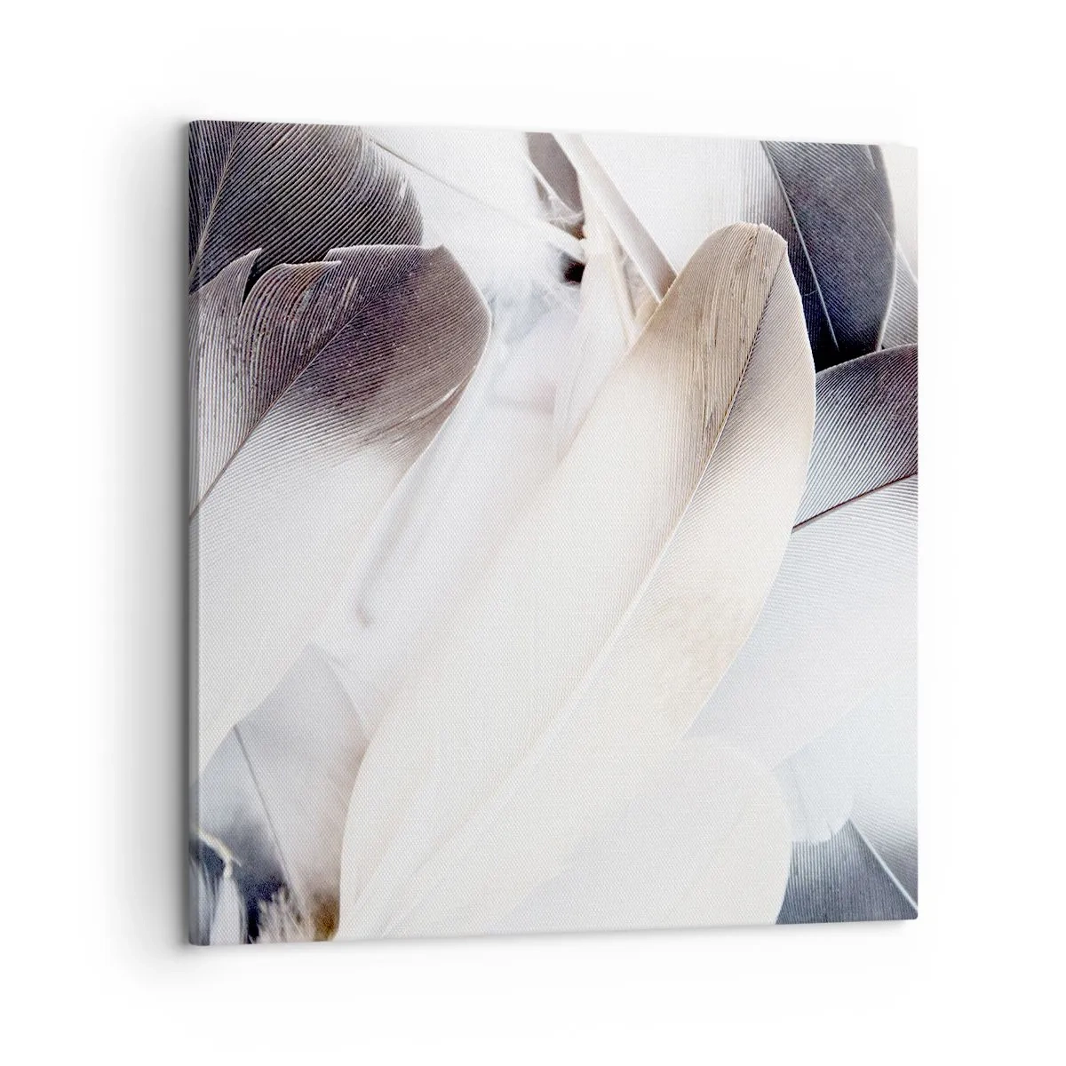 Schilderen op canvas - Bijna engelachtig - 60x60 cm
