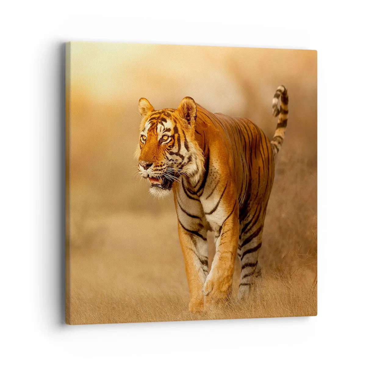 Schilderen op canvas - Voor de aanval - 40x40 cm