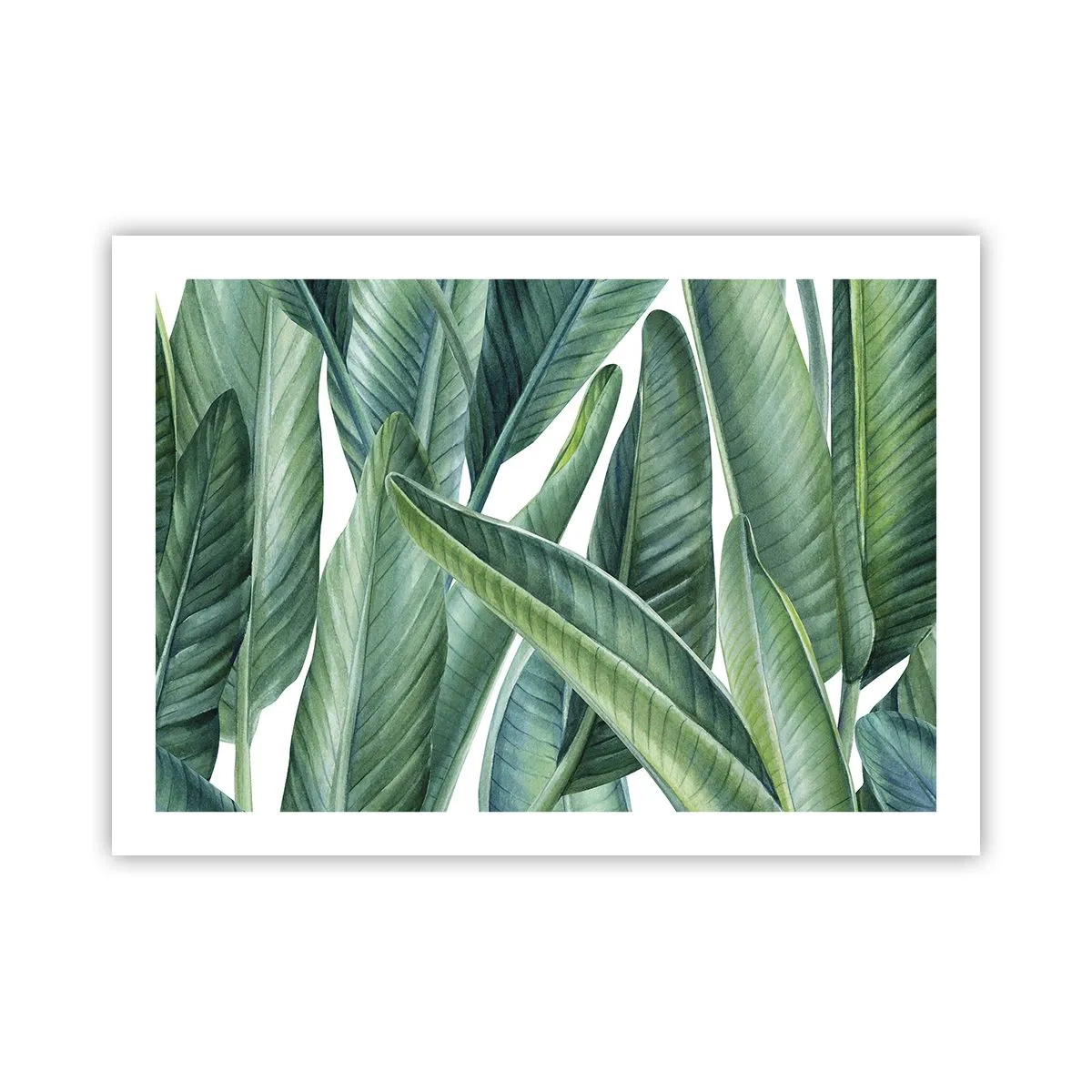 Poster - Groen zelf - 70x50 cm