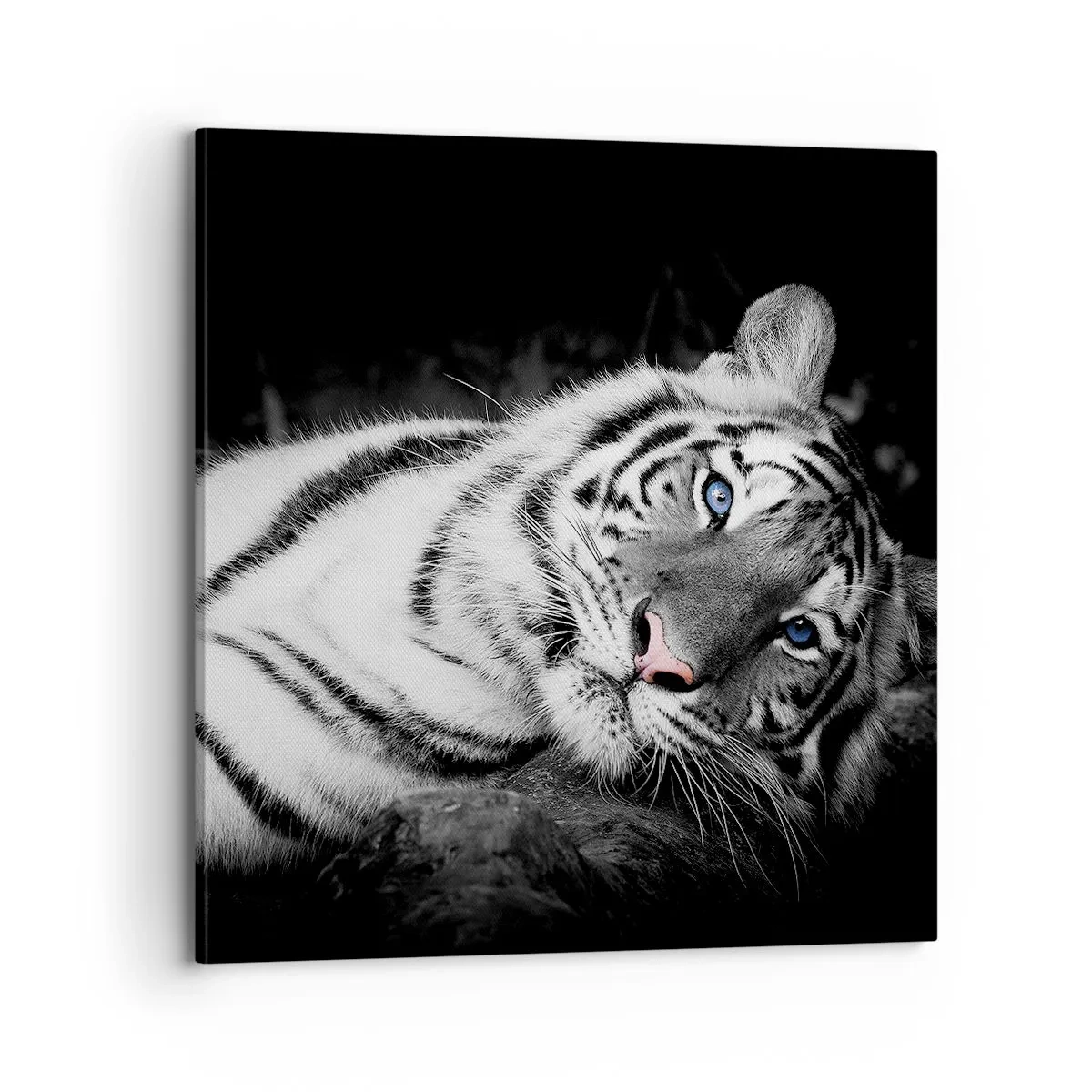 Schilderen op canvas - Wildheid en vrede - 70x70 cm