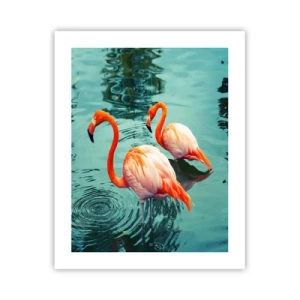 Poster - We zijn nu in de mode - 40x50 cm