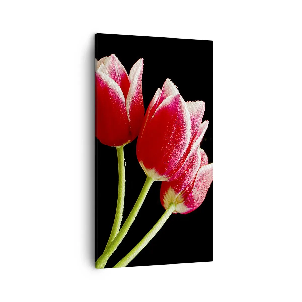 Schilderen op canvas - Een belofte van pure liefde - 45x80 cm