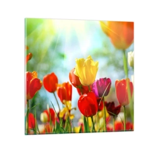 Schilderen op glas - Alle kleuren van de zon - 40x40 cm