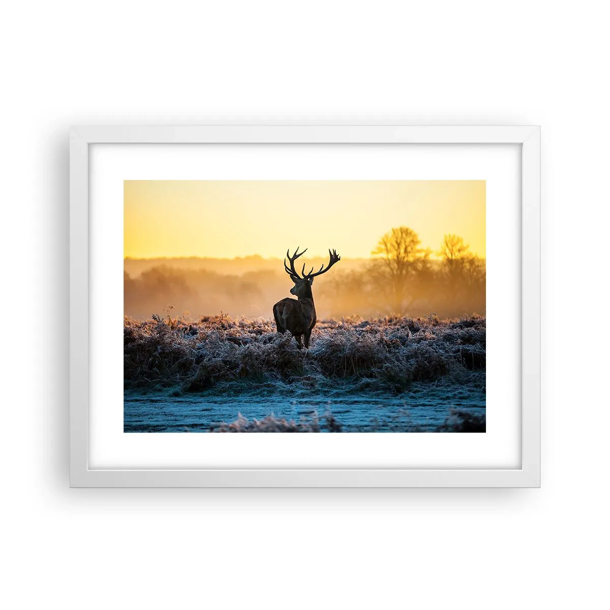 Poster in een witte lijst - Gekroond op zijn landgoed - 40x30 cm