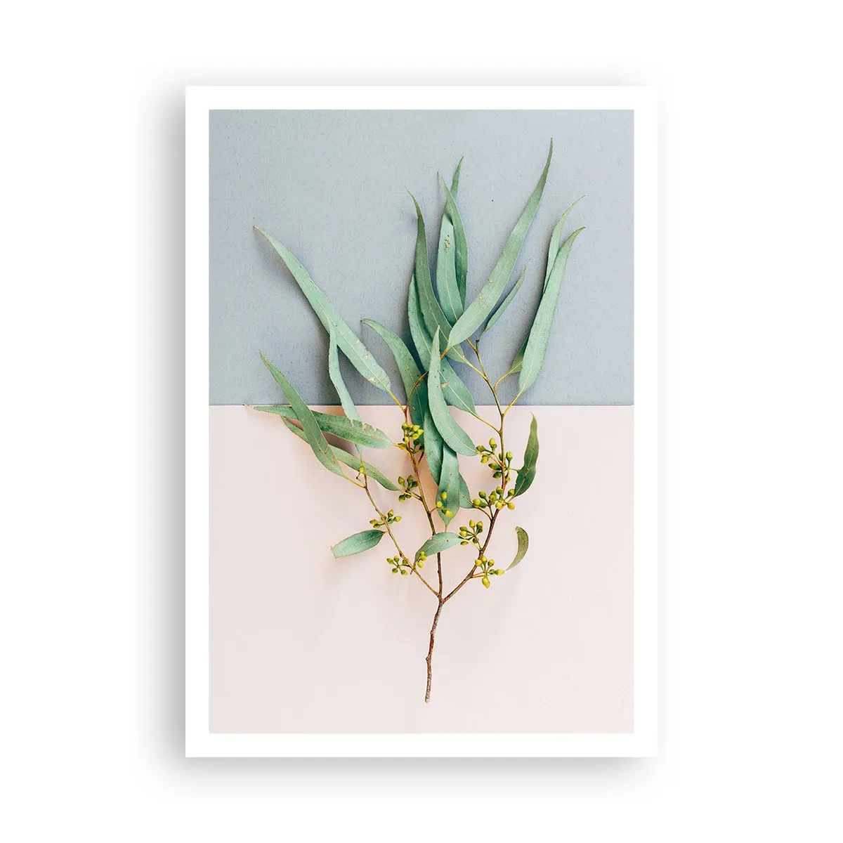 Poster - Subtiliteit in pastelkleuren - 70x100 cm