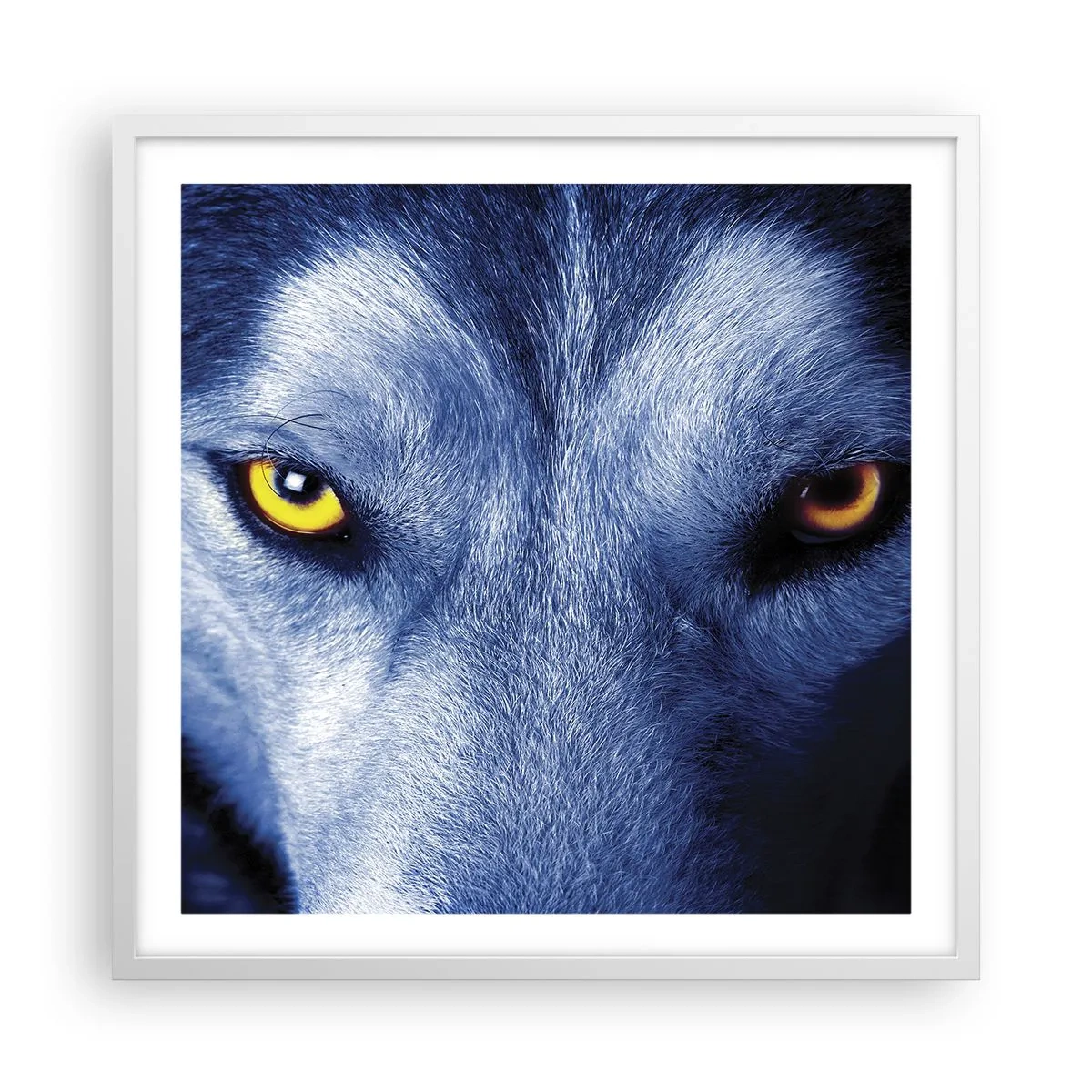 Poster in een witte lijst - Betoverende look - 60x60 cm