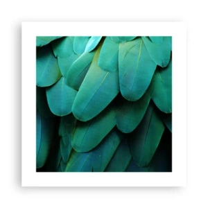 Poster - Papegaaiachtige precisie - 40x40 cm