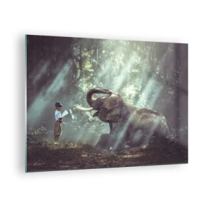 Schilderen op glas - Een jongen met een boek en een olifant in een bosrijke omgeving - 70x50cm - En luister hier eens naar... - Moderne wanddecoratie voor woonkamer en slaapkamer ARTTOR