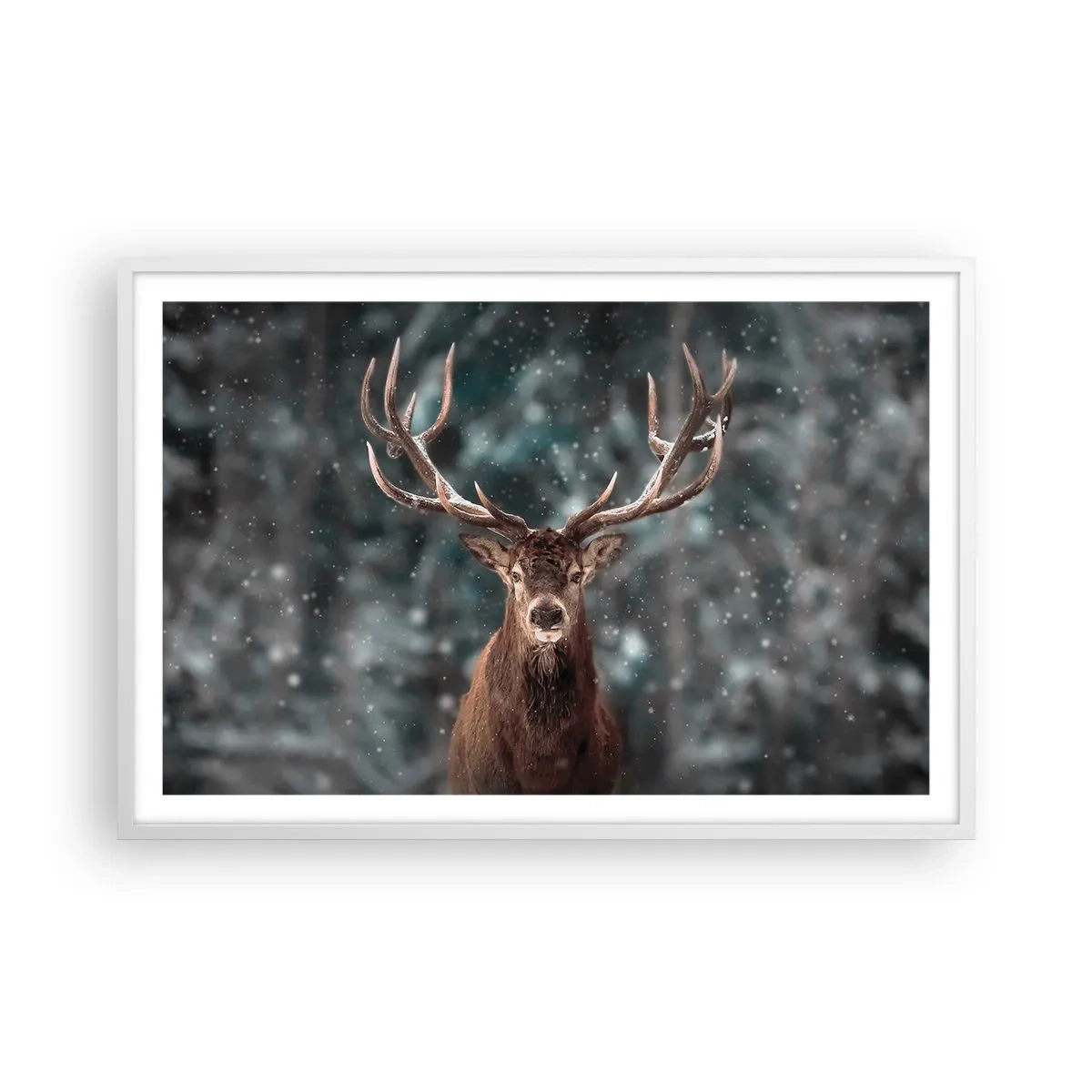 Poster in een witte lijst - Gekroond tot koning van het bos - 91x61 cm