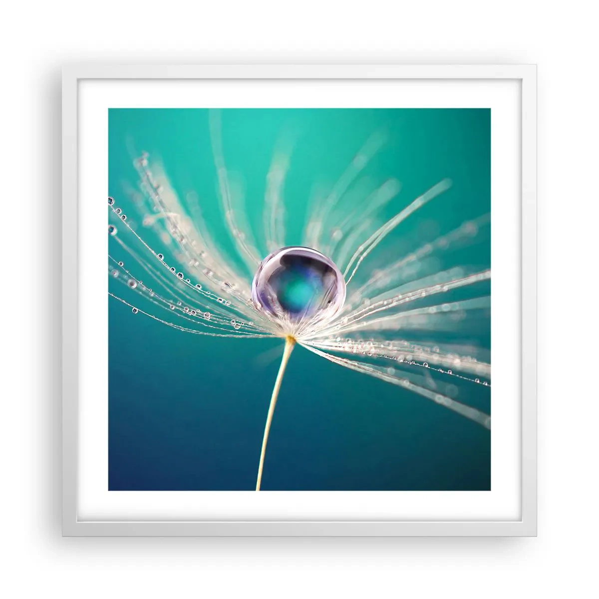 Poster in een witte lijst - Mystiek moment - 50x50 cm