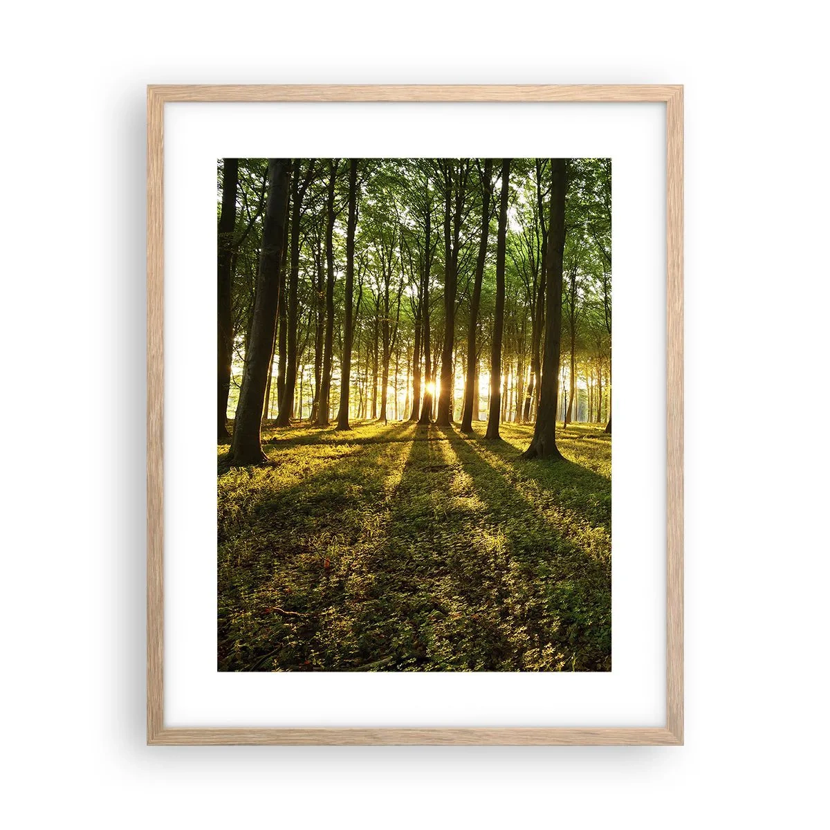 Een poster in een licht eiken lijst - Foto van de hele lente - 40x50 cm