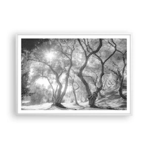 Poster in een witte lijst - In de olijfboomgaard - 100x70 cm