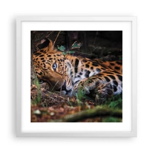 Poster in een witte lijst - Geloof me - 40x40 cm