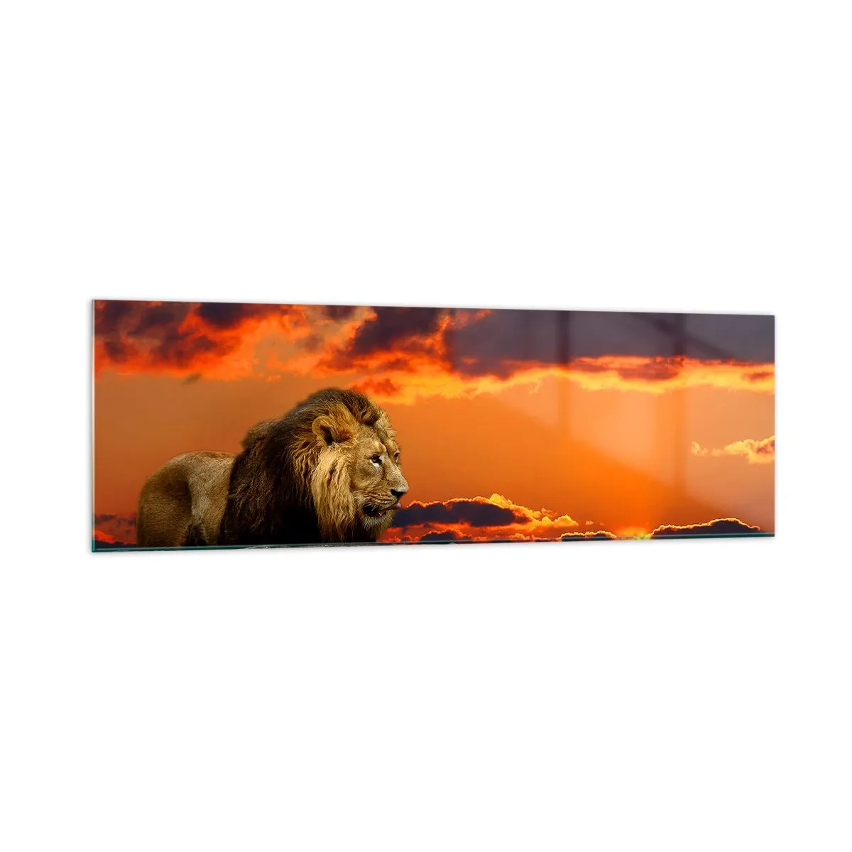 Schilderen op glas - Koning van de natuur - 160x50 cm
