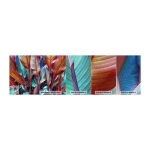 Fotobehang Monster Premium Canvas - Een kleurrijk struikgewas - Bladeren, Plantkunde, Boho - 100x30 cm