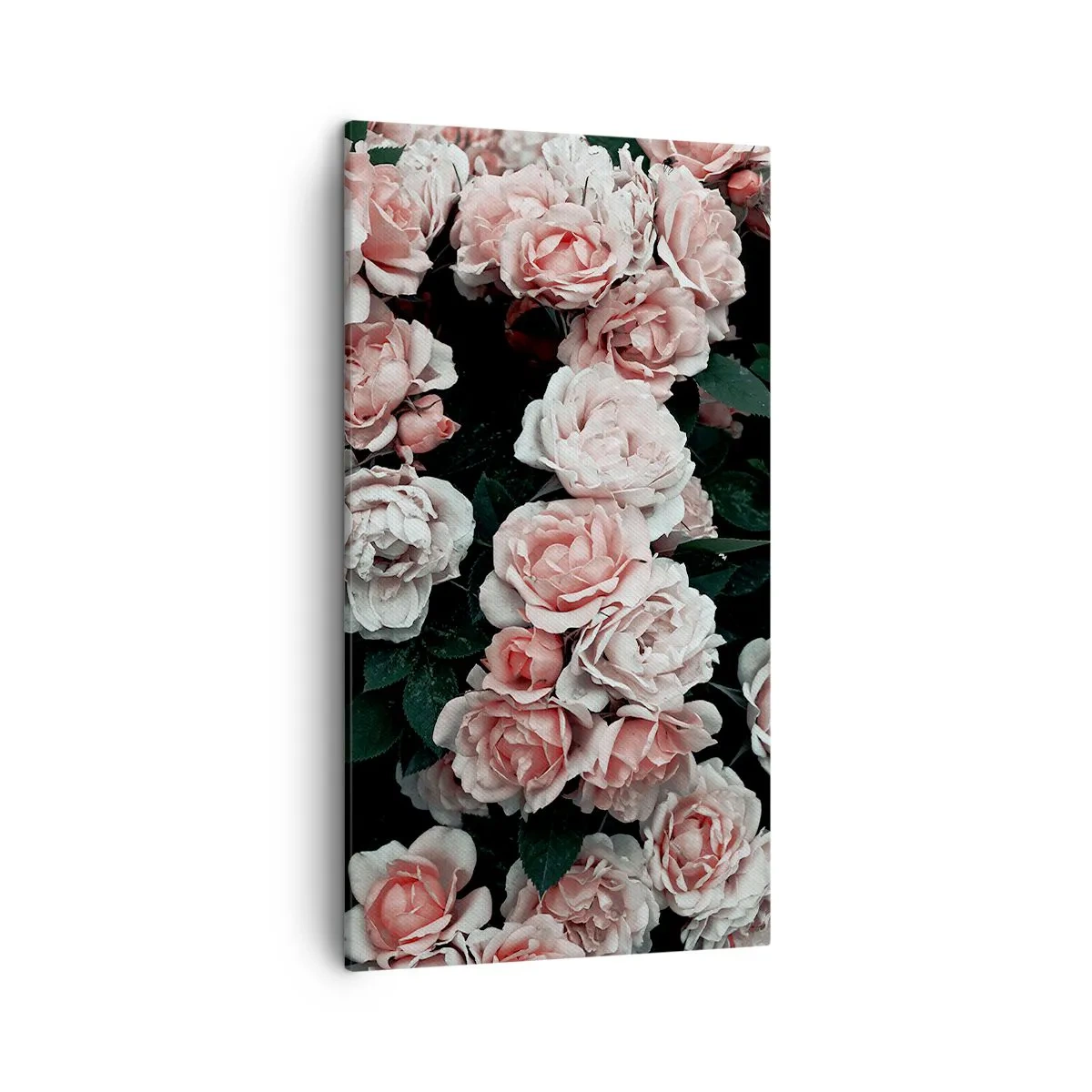 Schilderen op canvas - Rozen ensemble - 45x80 cm