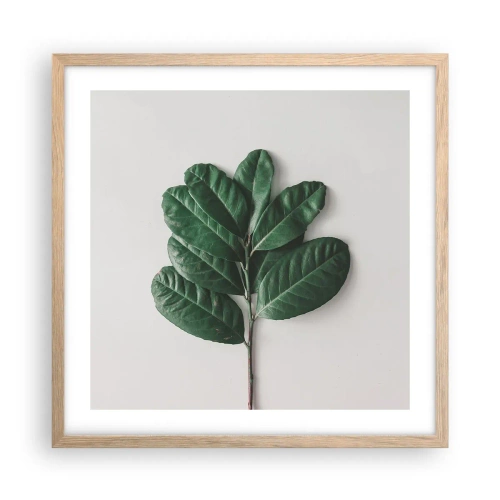 Een poster in een licht eiken lijst - Een tekening van de pure natuur - 50x50 cm