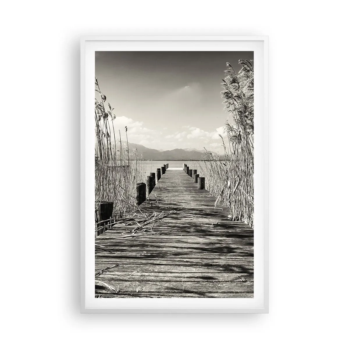 Poster in een witte lijst - In de stilte van het gras - 61x91 cm
