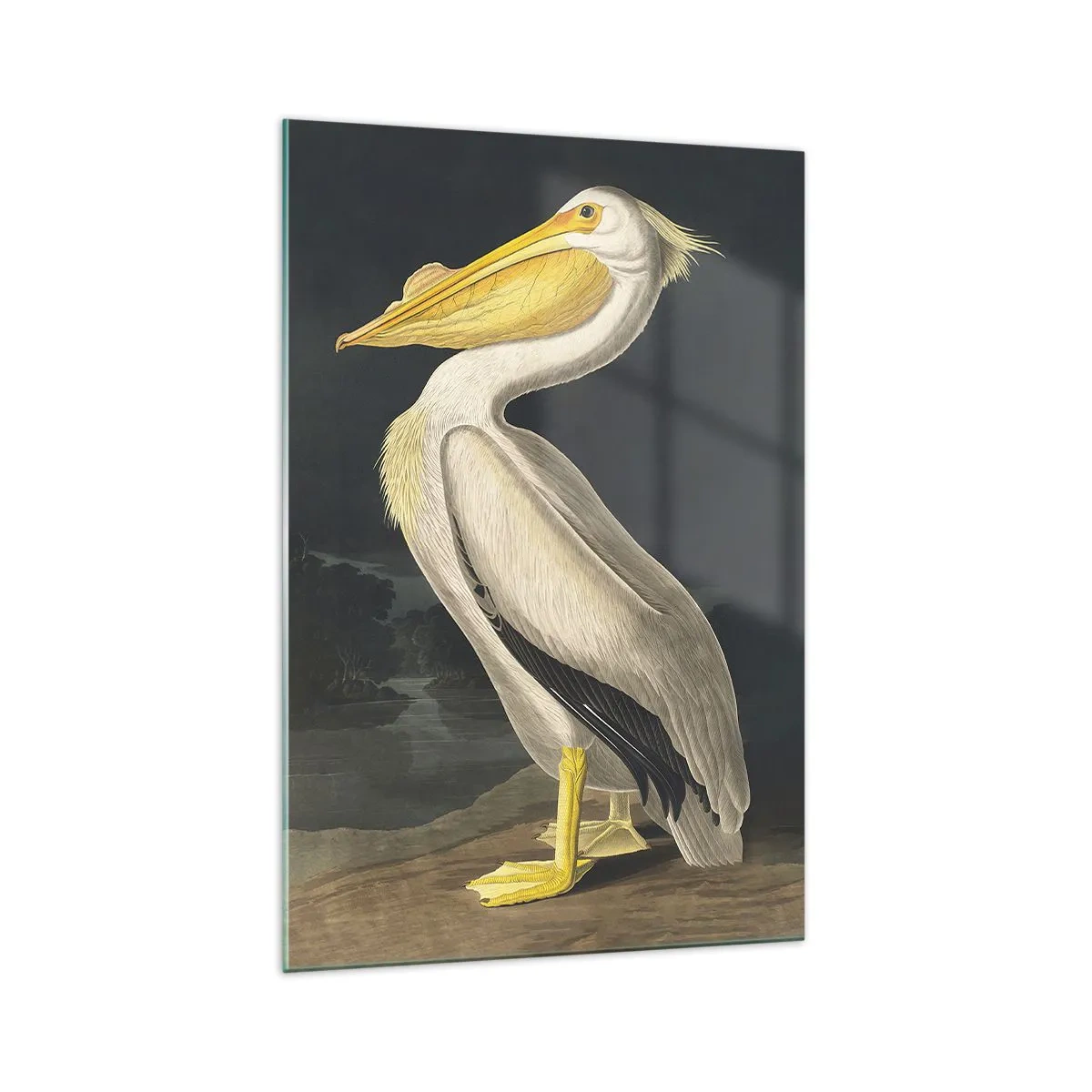 Schilderen op glas - Vol trots - 70x100 cm