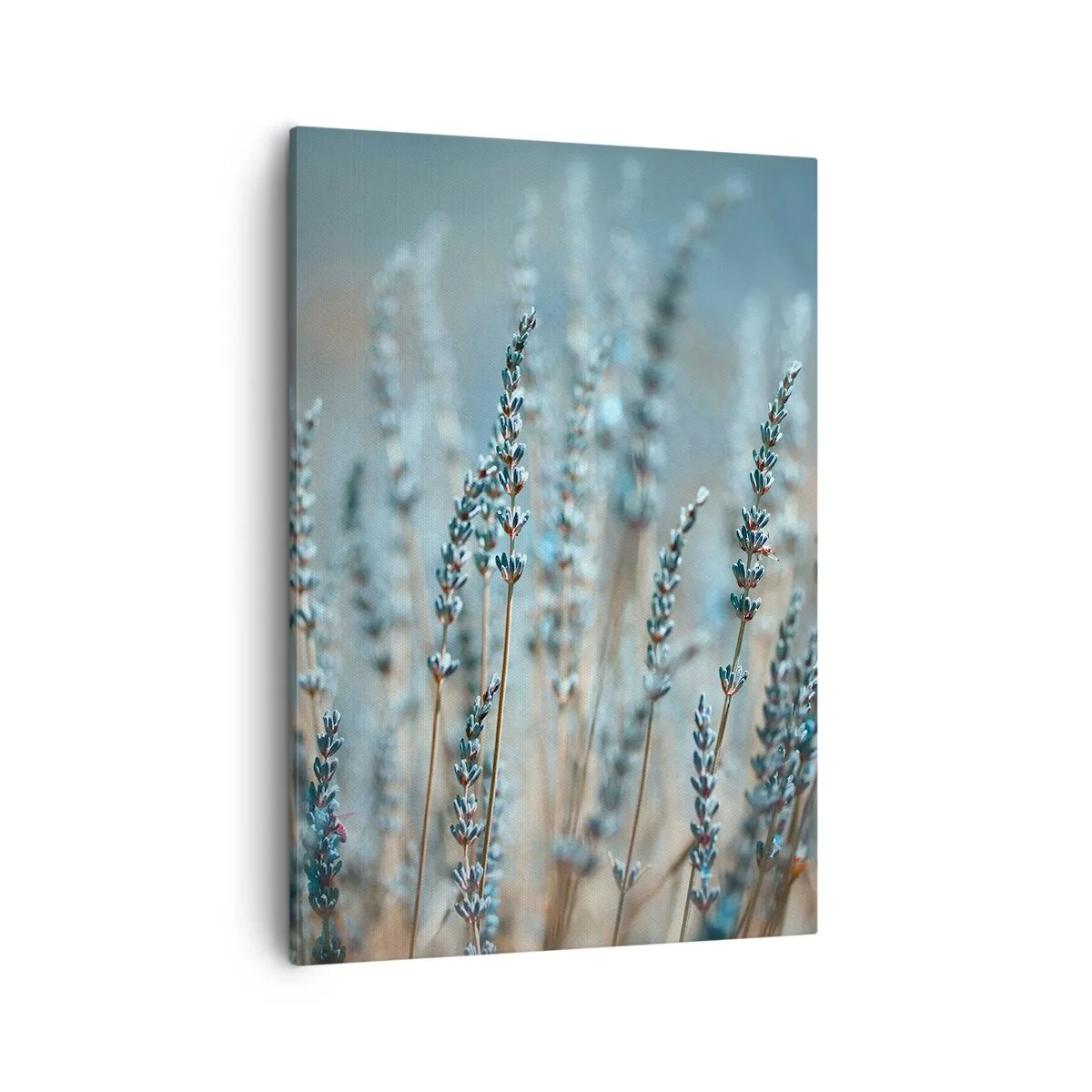 Schilderen op canvas - Geurig korenveld - 50x70 cm