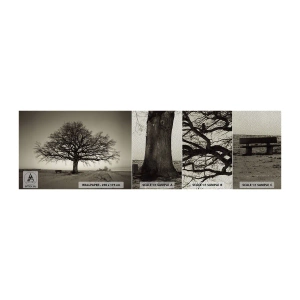 Fotobehang Monster Premium Sand - Van hier tot in de eeuwigheid - Landschap, Boom, Natuur - 100x30 cm