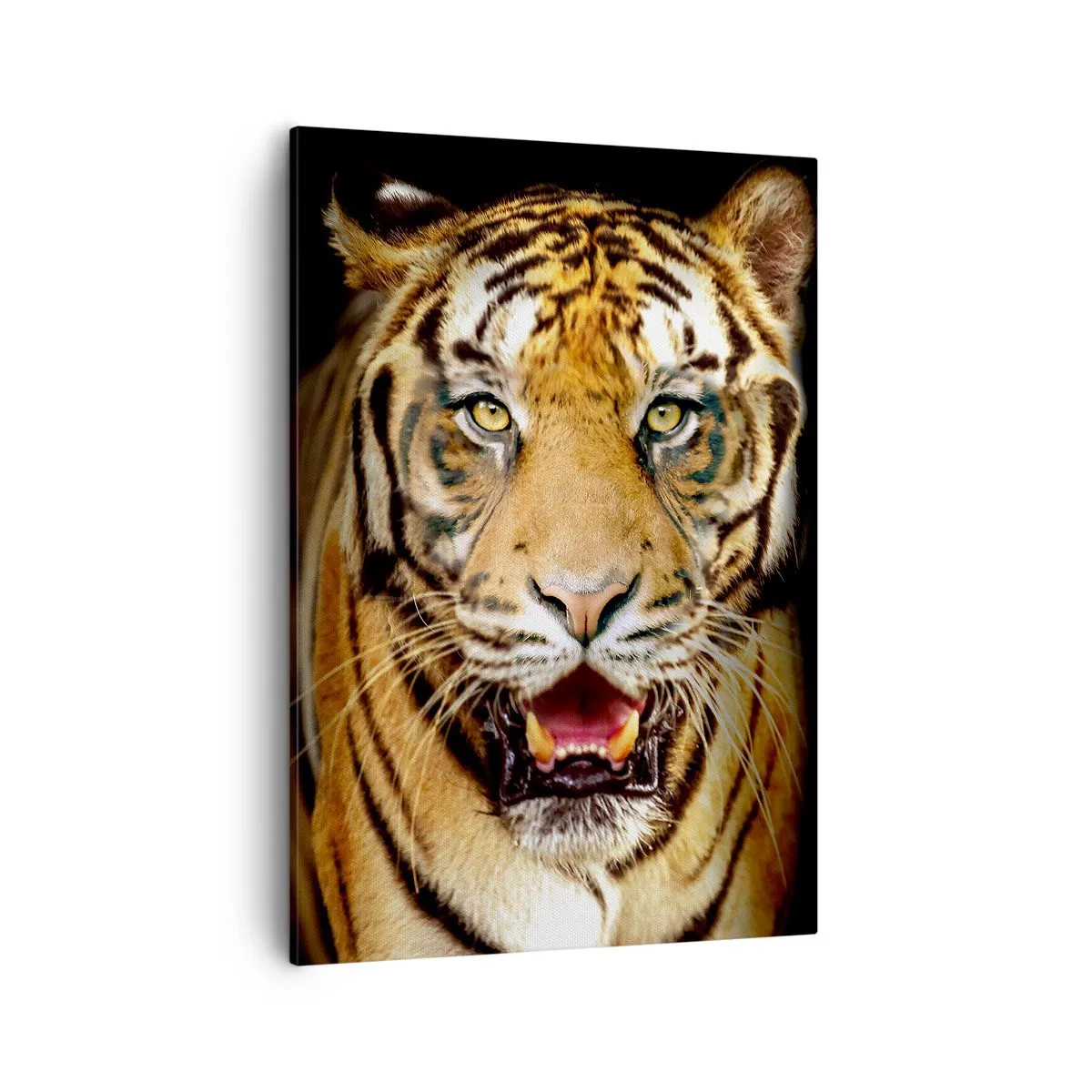 Schilderen op canvas - Wildheid in het hart - 50x70 cm