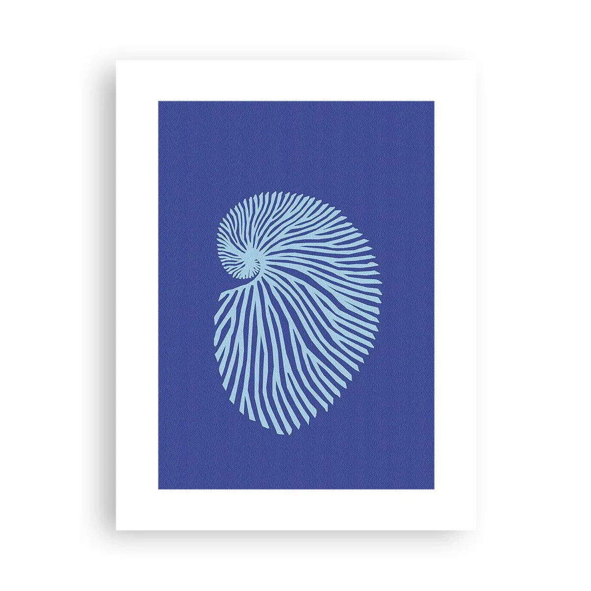 Poster - De geboorte van de schelp - 30x40 cm