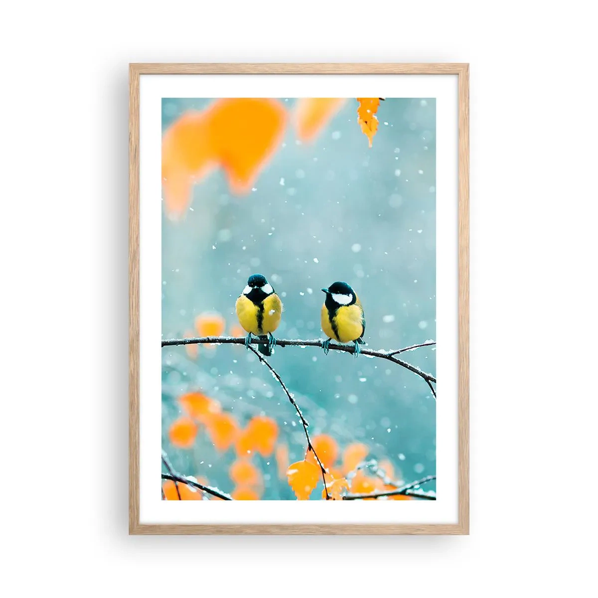 Een poster in een licht eiken lijst - Vogelroddel - 50x70 cm