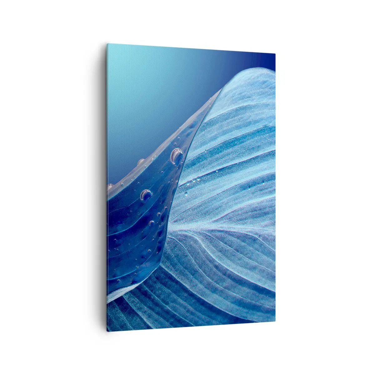 Schilderen op canvas - Verborgen druppels blauw - 80x120 cm