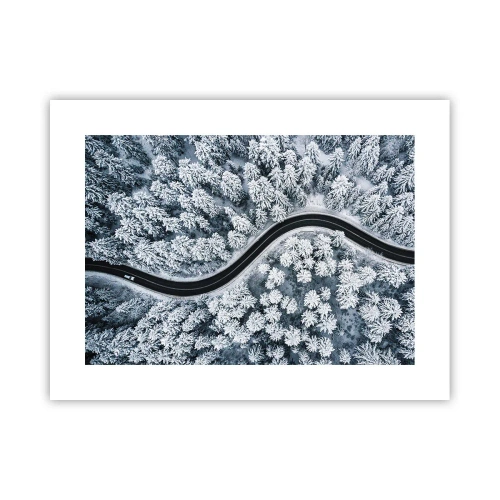 Poster - Door het winterbos - 40x30 cm