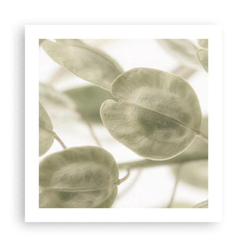 Poster - In het begin waren er bladeren... - 50x50 cm