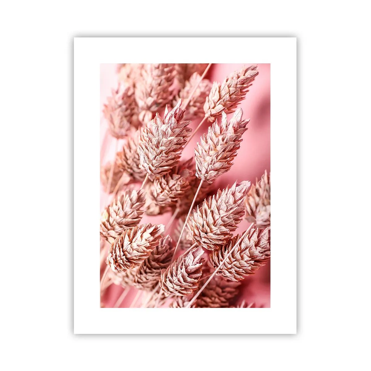 Poster - Een bloemencascade in roze - 30x40 cm