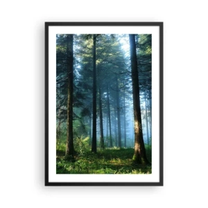 Poster in een zwarte lijst - Naaldbos in de ochtendzon en lichte mist - 50x70cm - Stralend in de ochtend - Moderne wanddecoratie voor woonkamer en slaapkamer ARTTOR