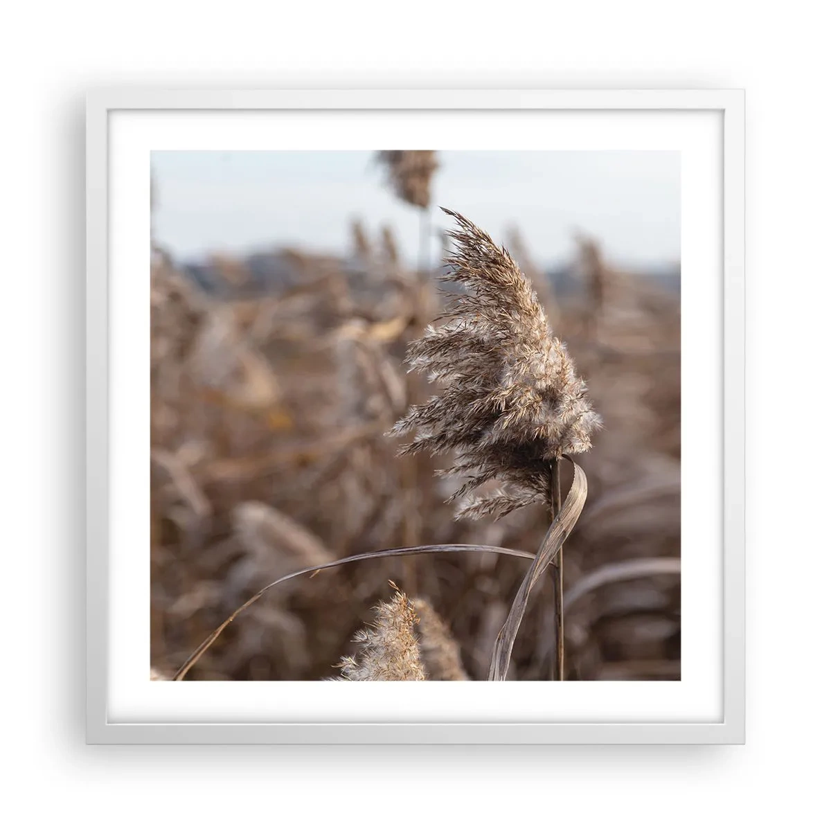 Poster in een witte lijst - Tijd om met de wind mee te gaan - 50x50 cm