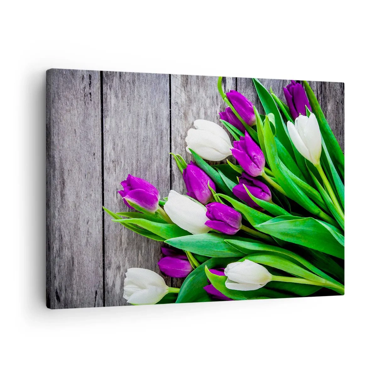 Schilderen op canvas - Een boeket paarse en witte tulpen op een houten achtergrond - 70x50cm - Op de dag van een voorjaarsvakantie - Moderne wanddecoratie voor woonkamer en slaapkamer ARTTOR
