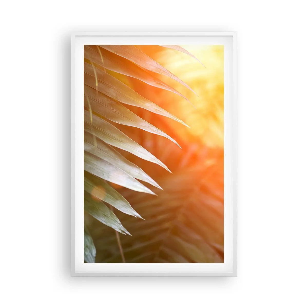 Poster in een witte lijst - Ochtend in de jungle - 61x91 cm