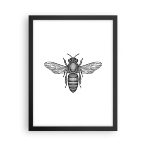 Poster in een zwarte lijst - Insectenportret - 30x40 cm