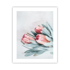 Poster - Schaamt zich voor hun eigen schoonheid - 40x50 cm
