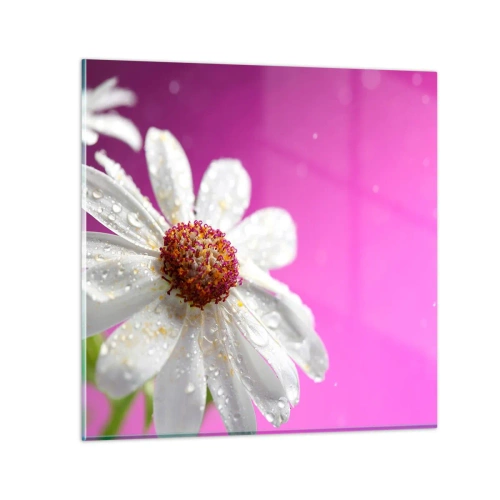 Schilderen op glas - Bescheiden in zijn schoonheid - 30x30 cm