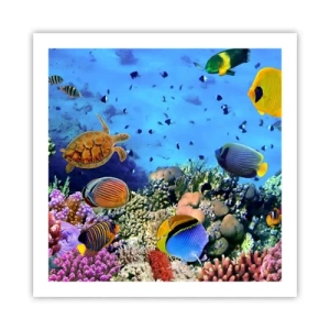 Poster - En wat weten we over het leven... - 60x60 cm