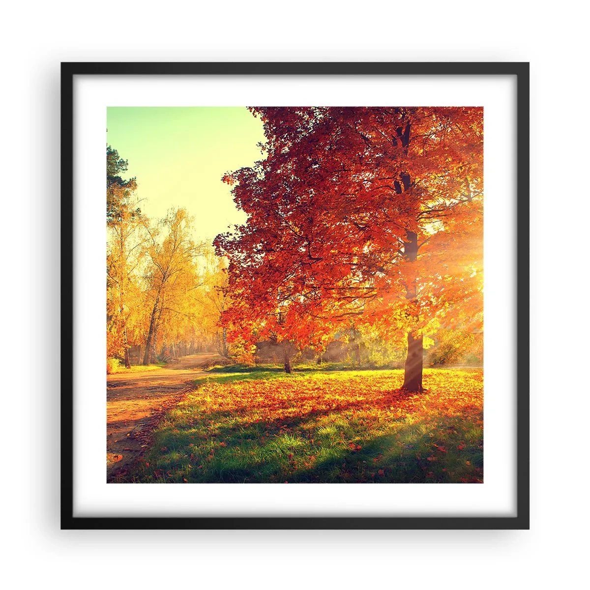Poster in een zwarte lijst - Rood is mooi - 50x50 cm