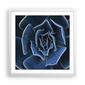 Poster in een witte lijst - Woestijn bloem - 50x50 cm