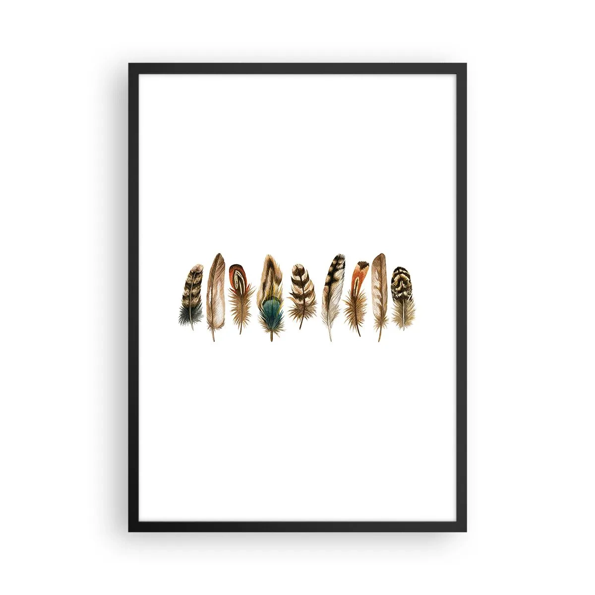 Poster in een zwarte lijst - Kleurrijke veren op een rij - 50x70cm - Een gevederde variatie - Moderne wanddecoratie voor woonkamer en slaapkamer ARTTOR