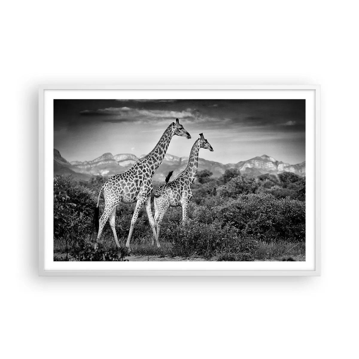 Poster in een witte lijst - Hoge sferen in Afrika - 91x61 cm