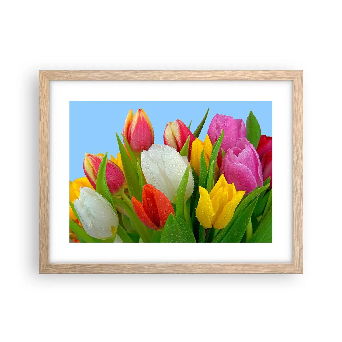 Een poster in een licht eiken lijst - Een bloemenregenboog in dauwdruppels - 40x30 cm